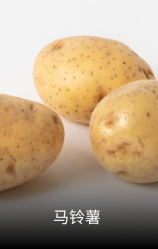 马铃薯
