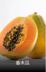 番木瓜